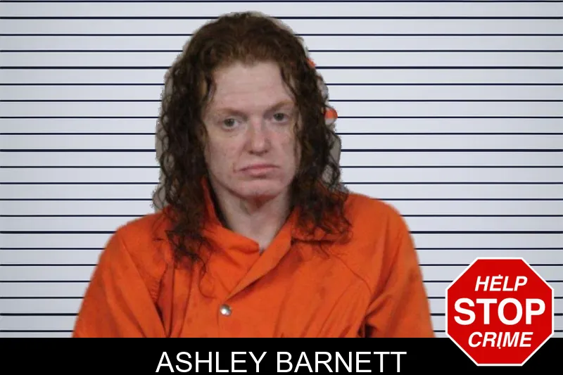 Ashley Barnett mugshot – Lamar County , Georgia Ashley Barnett mugshot