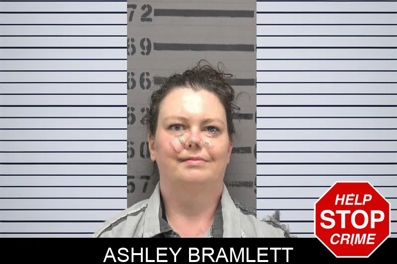 Ashley Bramlett mugshot – Dougherty County , Georgia Ashley Bramlett mugshot