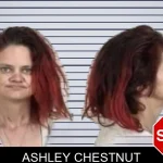 Ashley Chestnut mugshot – Camden County , Georgia Ashley Chestnut mugshot