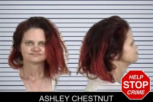 Ashley Chestnut mugshot