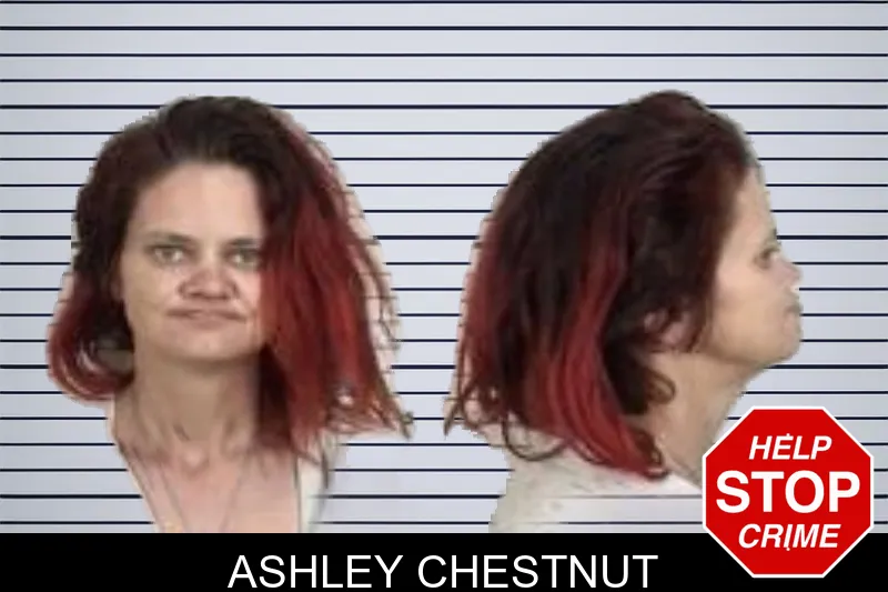 Ashley Chestnut mugshot – Camden County , Georgia Ashley Chestnut mugshot
