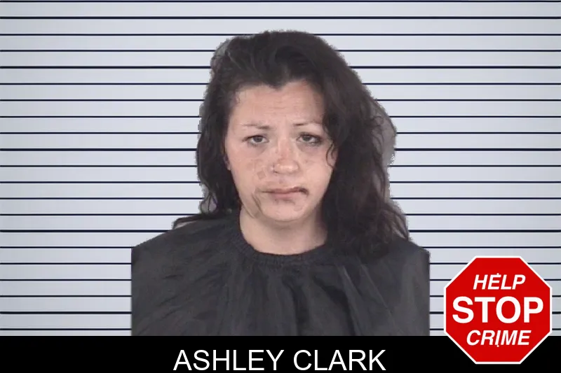 Ashley Clark mugshot