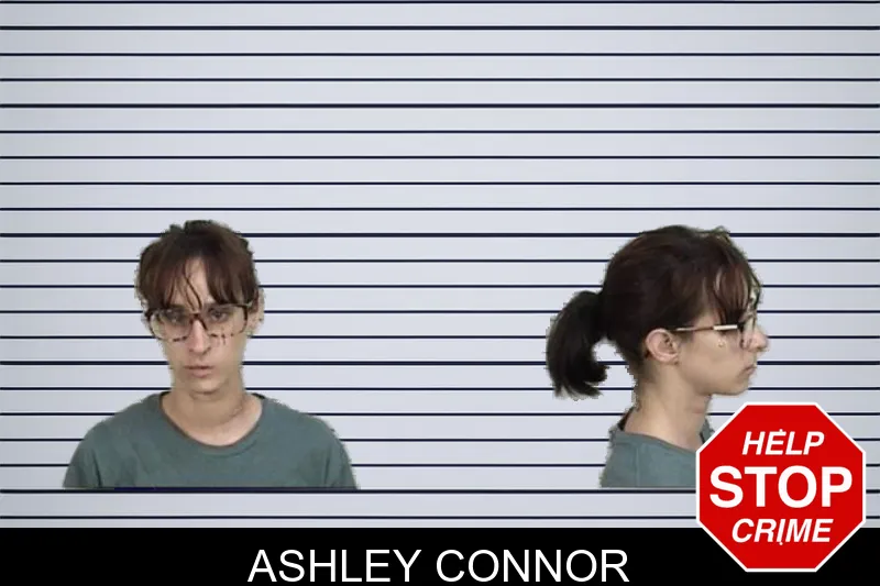 Ashley Connor mugshot