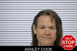 Ashley Cook mugshot