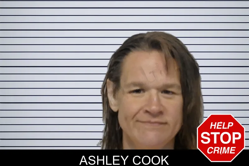 Ashley Cook mugshot