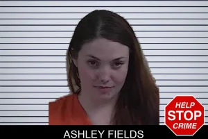 Ashley Fields mugshot