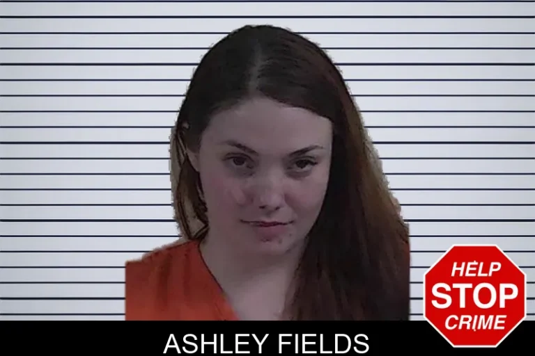 Ashley Fields mugshot – Fannin County , Georgia Ashley Fields