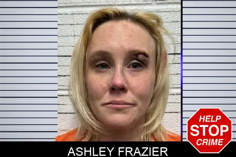 Ashley Frazier mugshot – Dade County , Georgia Ashley Frazier