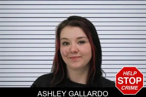 Ashley Gallardo mugshot