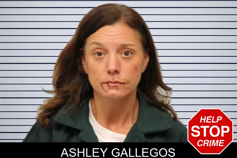 Ashley Gallegos mugshot