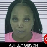 Ashley Gibson mugshot