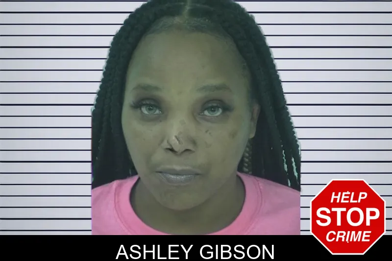 Ashley Gibson mugshot