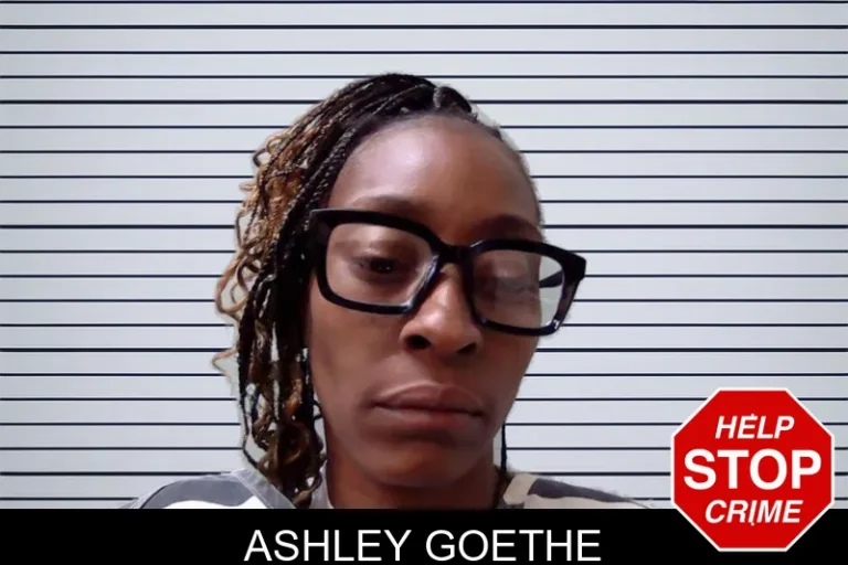 Ashley Goethe mugshot – Evans County , Georgia Ashley Goethe