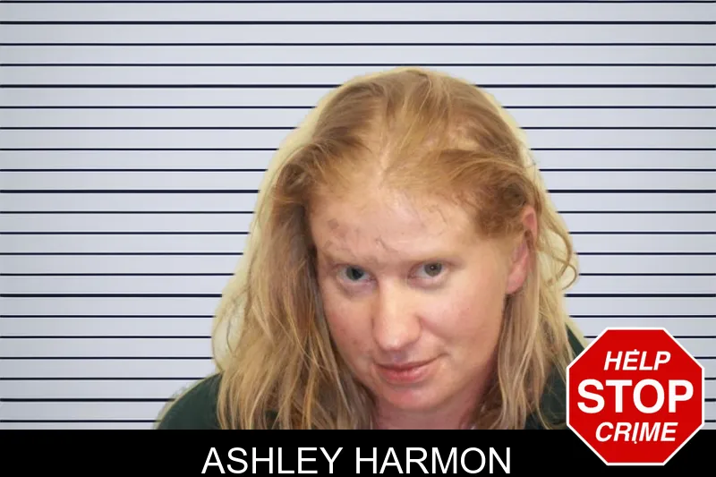 Ashley Harmon mugshot