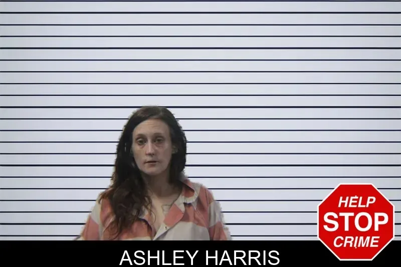Ashley Harris mugshot