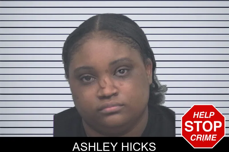 Ashley Hicks mugshot – Gwinnett County , Georgia Ashley Hicks mugshot