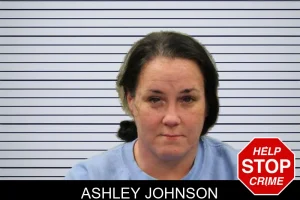 Ashley Johnson mugshot