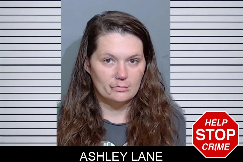 Ashley Lane mugshot – Glynn County , Georgia Ashley Lane mugshot