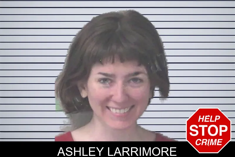 Ashley Larrimore mugshot