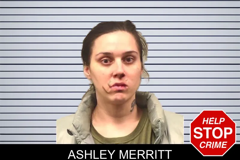 Ashley Merritt mugshot