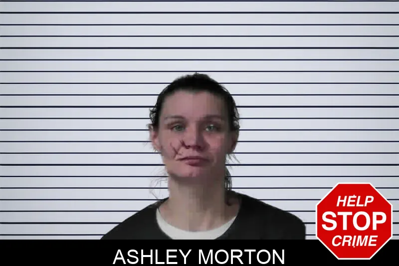 Ashley Morton mugshot