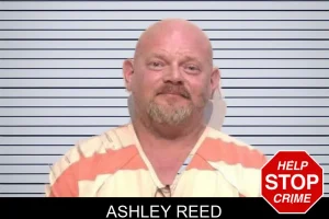 Ashley Reed mugshot