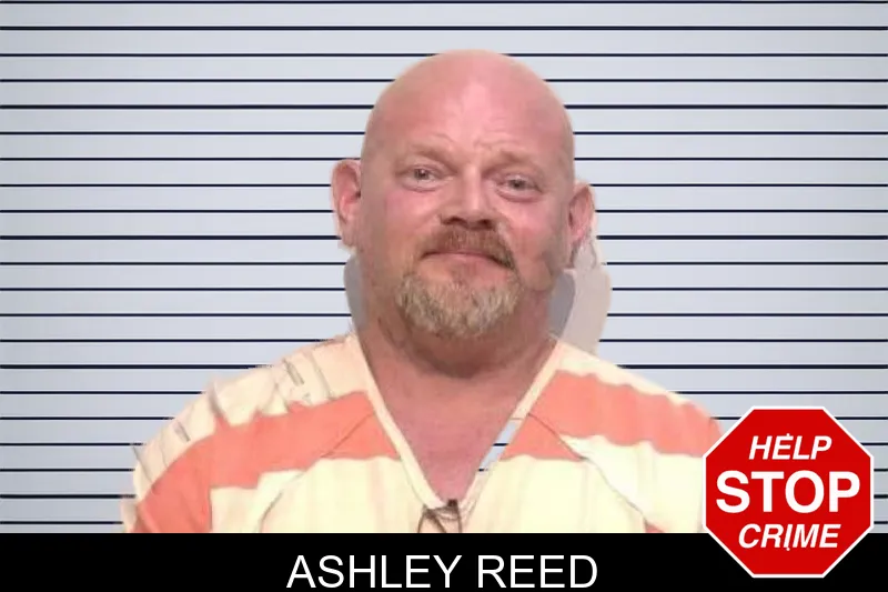 Ashley Reed mugshot