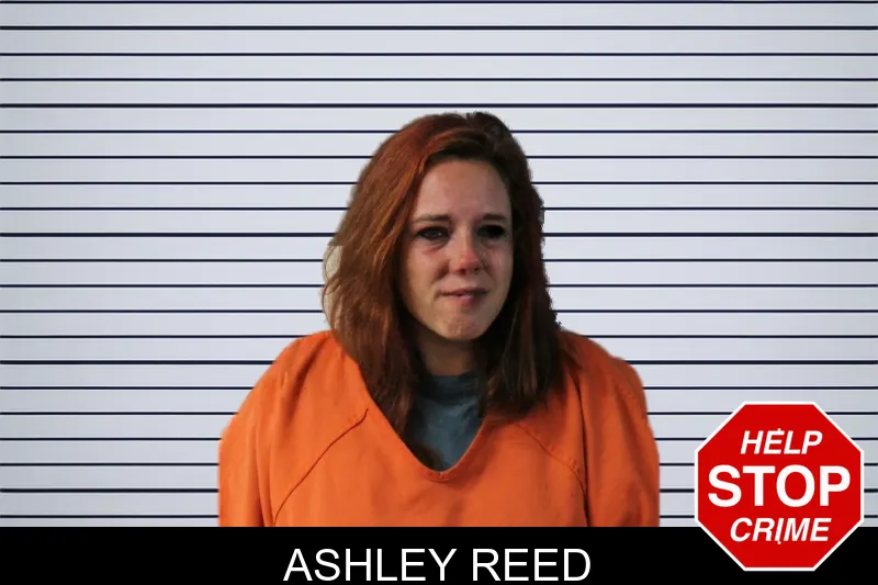 Ashley Reed mugshot – Lumpkin County , Georgia Ashley Reed mugshot