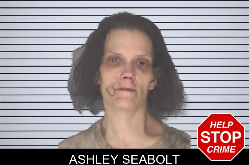 Ashley Seabolt mugshot