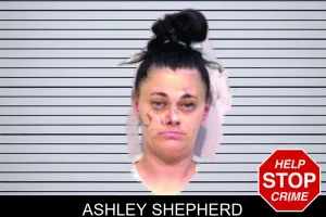 Ashley Shepherd mugshot