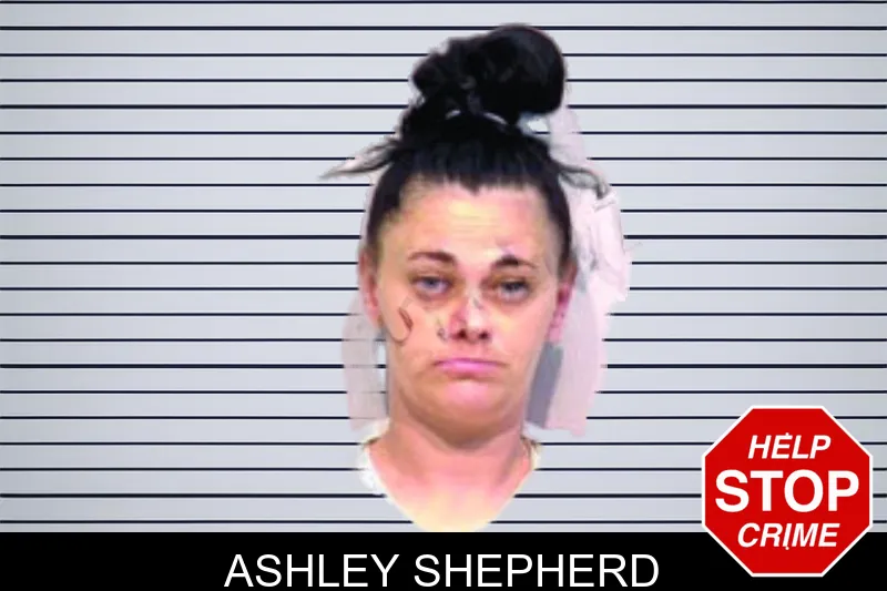 Ashley Shepherd mugshot