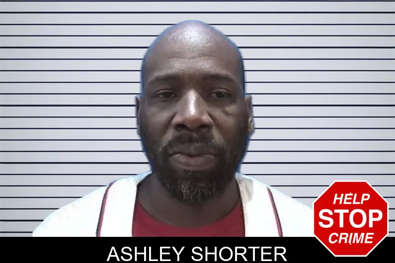 Ashley Shorter mugshot