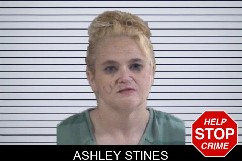 Ashley Stines mugshot
