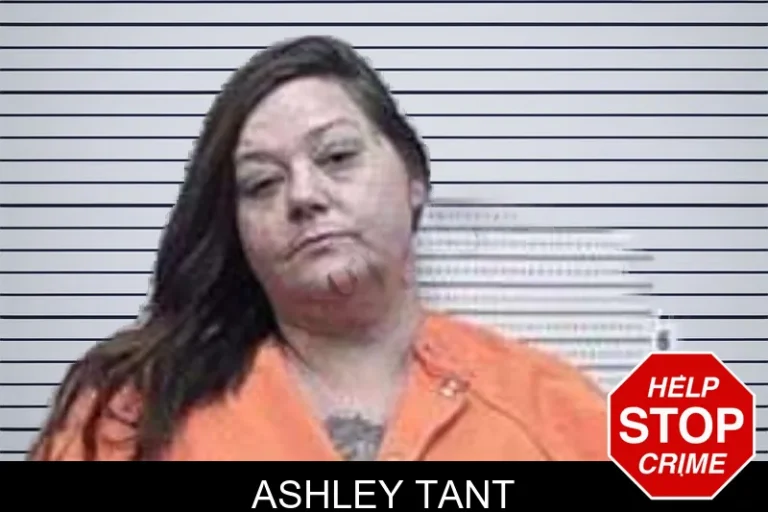 Ashley Tant mugshot – Tattnall County , Georgia Ashley Tant