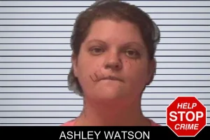 Ashley Watson mugshot