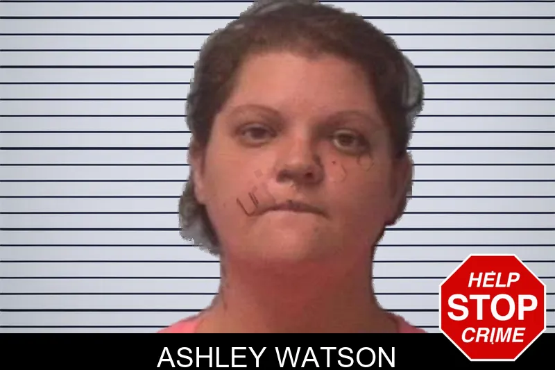 Ashley Watson mugshot