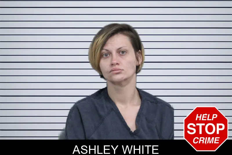 Ashley White mugshot