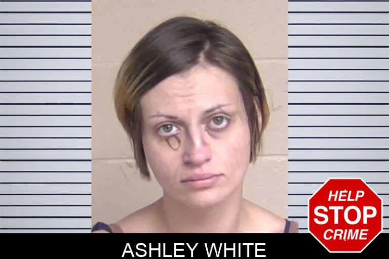 Ashley White mugshot – Liberty County , Georgia Ashley White