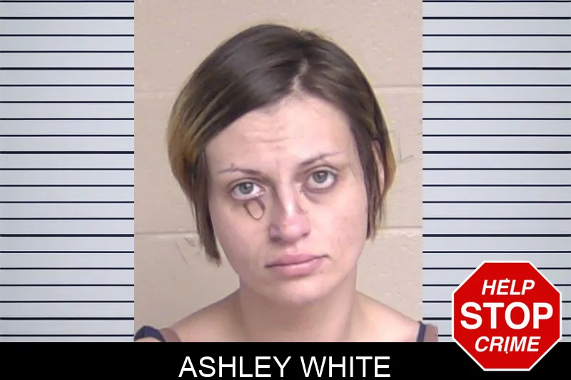 Ashley White mugshot – Walker County , Georgia Ashley White mugshot