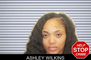 Ashley Wilkins mugshot