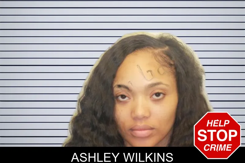 Ashley Wilkins mugshot