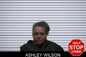 Ashley Wilson mugshot