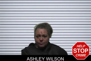 Ashley Wilson mugshot