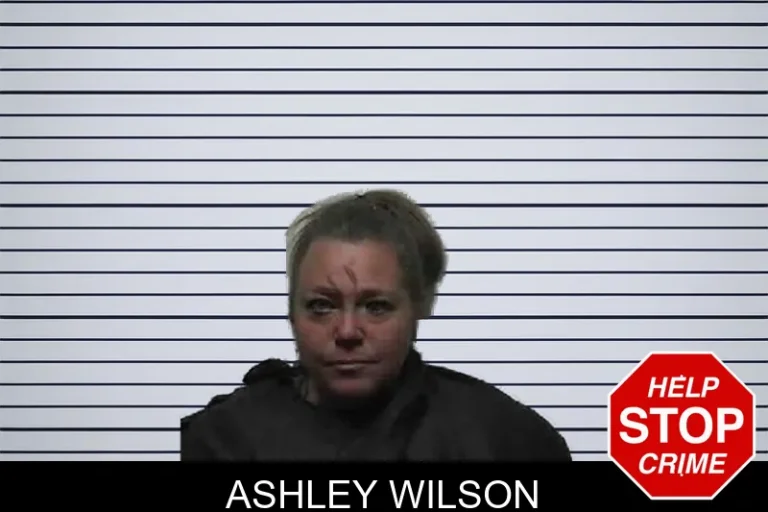 Ashley Wilson