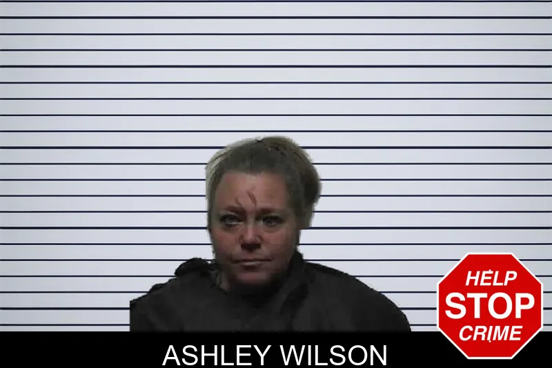 Ashley Wilson mugshot