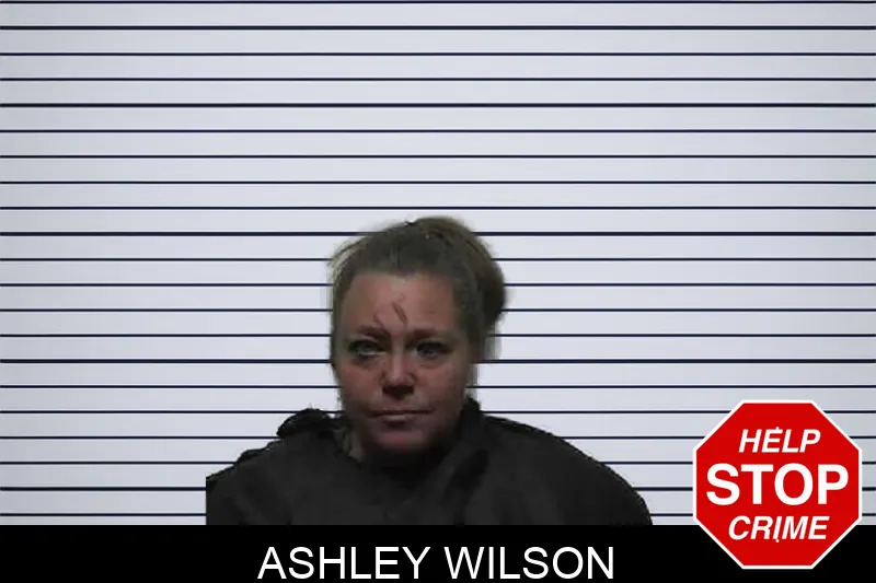 Ashley Wilson mugshot – Pike County , Georgia Ashley Wilson mugshot