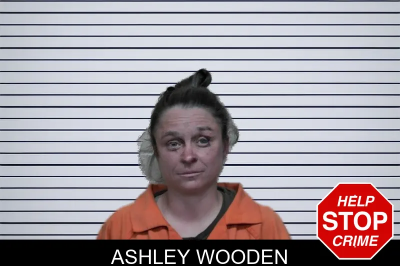 Ashley Wooden mugshot