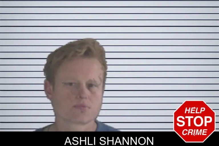 Ashli Shannon mugshot – Brantley County , Georgia Ashli Shannon