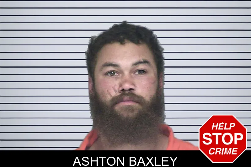 Ashton Baxley mugshot – Appling County , Georgia Ashton Baxley mugshot