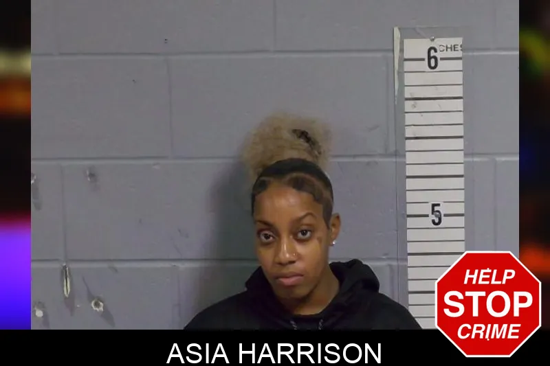 Asia Harrison mugshot – Candler County , Georgia Asia Harrison mugshot